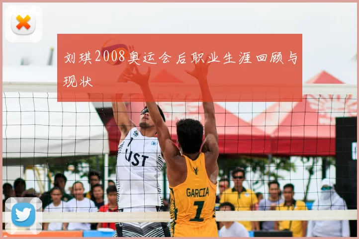 刘琪2008奥运会后职业生涯回顾与现状