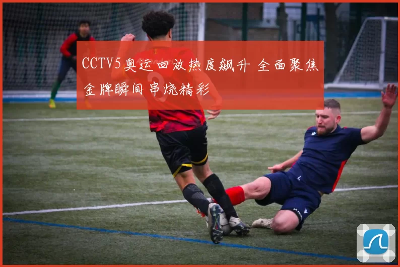 CCTV5奥运回放热度飙升 全面聚焦金牌瞬间串烧精彩