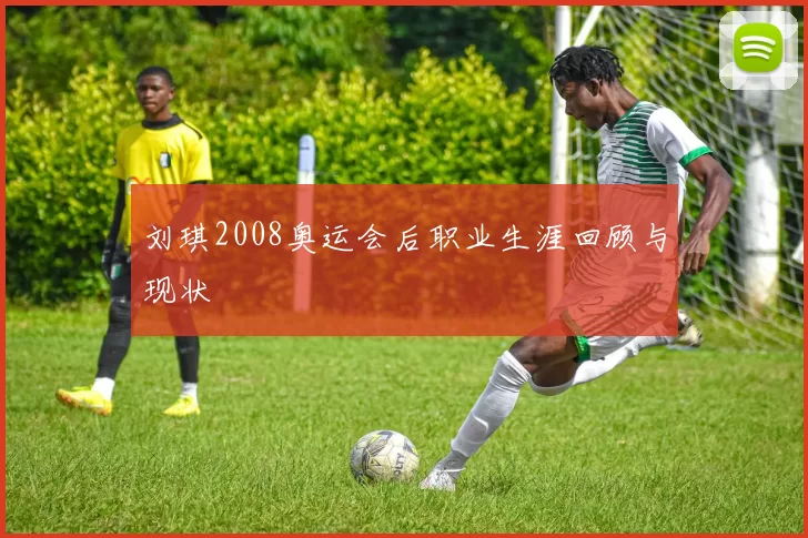 刘琪2008奥运会后职业生涯回顾与现状