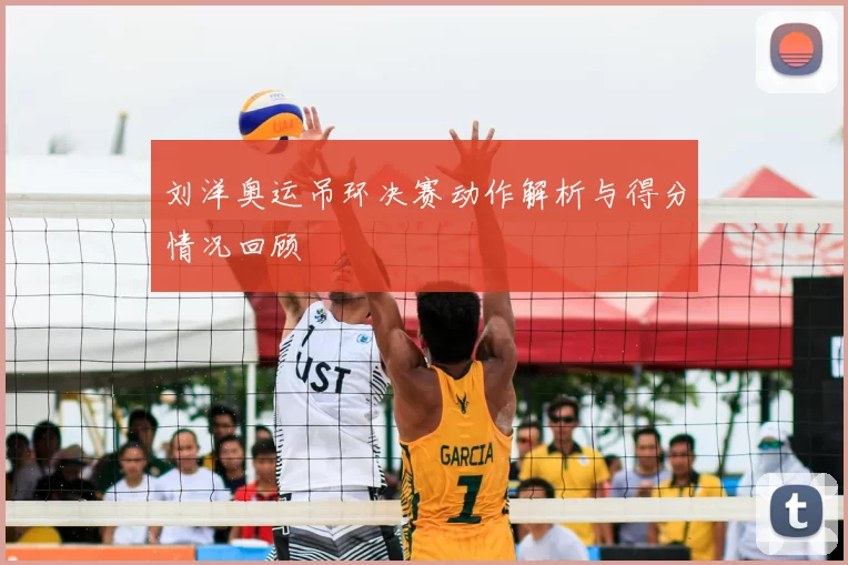 刘洋奥运吊环决赛动作解析与得分情况回顾