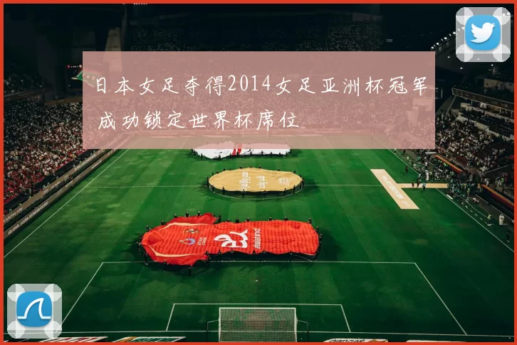 日本女足夺得2014女足亚洲杯冠军 成功锁定世界杯席位